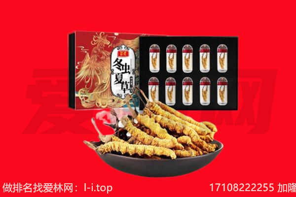 呼和浩特赛罕区回收虫草.jpg